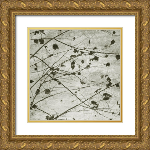 Laced Sky I Gold Ornate Wood Framed Art Print with Double Matting by Chandler, Sharon