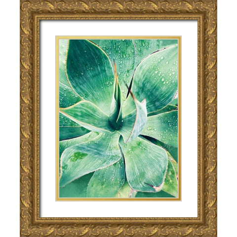 Green Tropical Succulent I Gold Ornate Wood Framed Art Print with Double Matting by Orlov, Irena