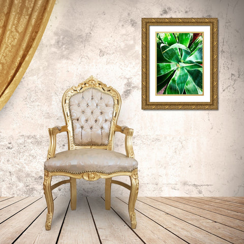 Green Tropical Succulent II Gold Ornate Wood Framed Art Print with Double Matting by Orlov, Irena