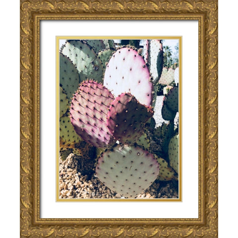 Pink Green Cactus III Gold Ornate Wood Framed Art Print with Double Matting by Orlov, Irena