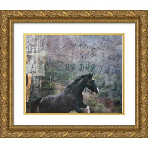 Horse Exposures I Gold Ornate Wood Framed Art Print with Double Matting by Friedman, Susan