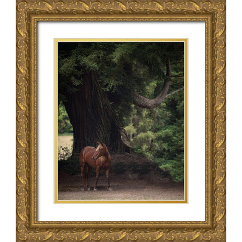 Horse in the Trees II Gold Ornate Wood Framed Art Print with Double Matting by Friedman, Susan