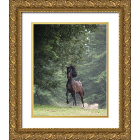Horse in the Trees III Gold Ornate Wood Framed Art Print with Double Matting by Friedman, Susan