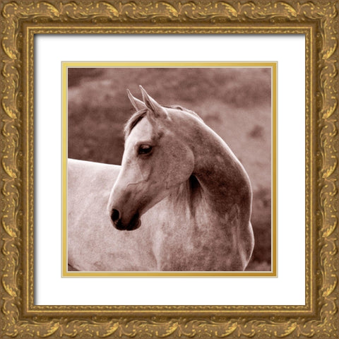 Tempest Gold Ornate Wood Framed Art Print with Double Matting by Friedman, Susan