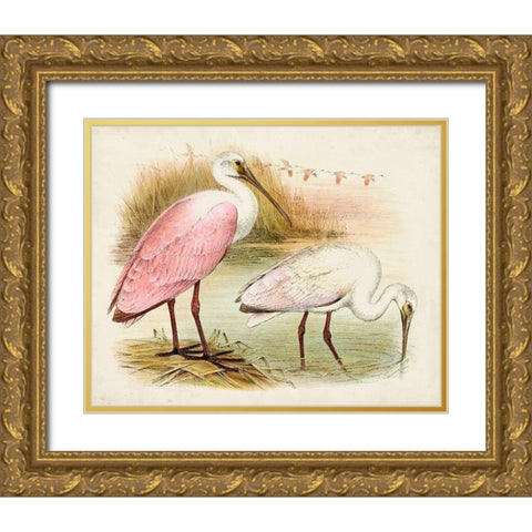 Roseate Spoonbills I Gold Ornate Wood Framed Art Print with Double Matting by Unknown