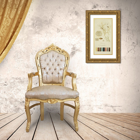 Species of Lichen IV Gold Ornate Wood Framed Art Print with Double Matting by Unknown