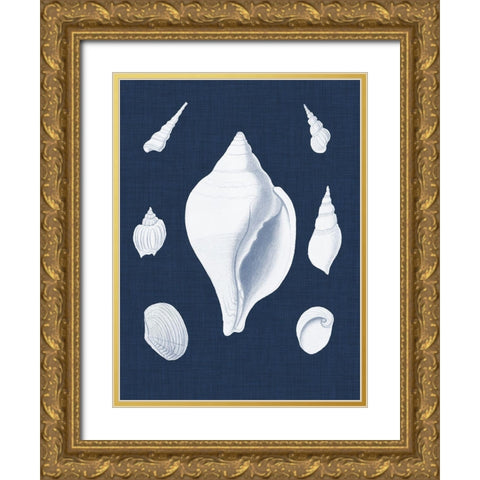 Coquillages Blancs II Gold Ornate Wood Framed Art Print with Double Matting by Vision Studio