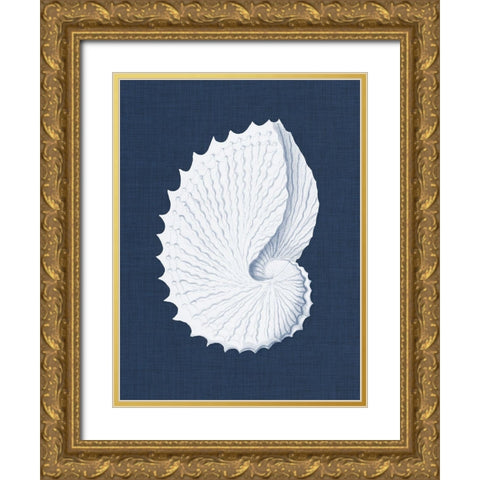 Coquillages Blancs V Gold Ornate Wood Framed Art Print with Double Matting by Vision Studio