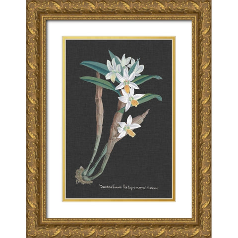 Orchid on Slate I Gold Ornate Wood Framed Art Print with Double Matting by Vision Studio