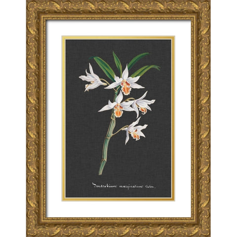 Orchid on Slate IV Gold Ornate Wood Framed Art Print with Double Matting by Vision Studio