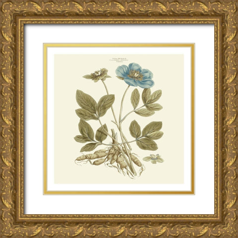 Custom Bashful Blue Florals I Gold Ornate Wood Framed Art Print with Double Matting by Miller, John