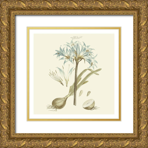 Custom Bashful Blue Florals II Gold Ornate Wood Framed Art Print with Double Matting by Miller, John