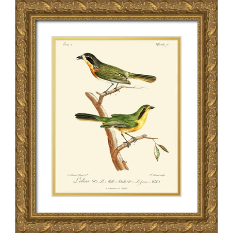 Vintage French Birds VI Gold Ornate Wood Framed Art Print with Double Matting by de Langlois