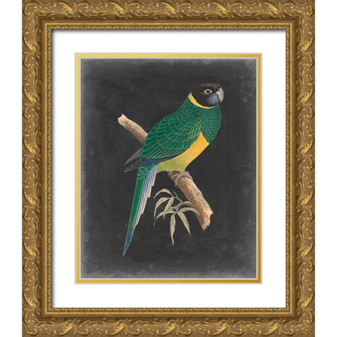 Dramatic Parrots I Gold Ornate Wood Framed Art Print with Double Matting by Vision Studio