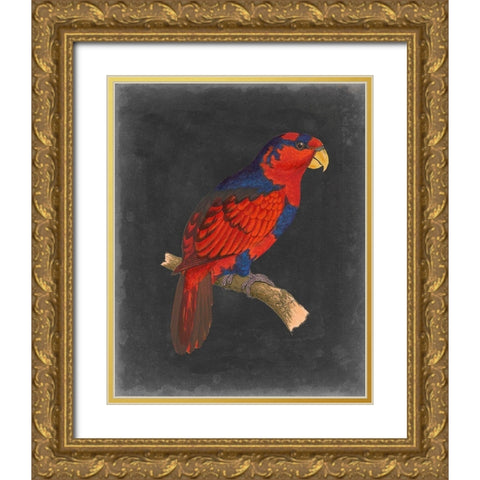 Dramatic Parrots III Gold Ornate Wood Framed Art Print with Double Matting by Vision Studio