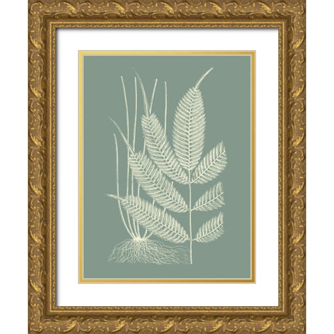 Ferns on Sage II Gold Ornate Wood Framed Art Print with Double Matting by Vision Studio