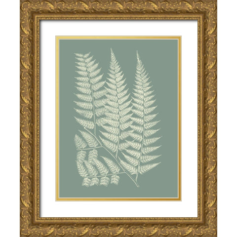 Ferns on Sage III Gold Ornate Wood Framed Art Print with Double Matting by Vision Studio