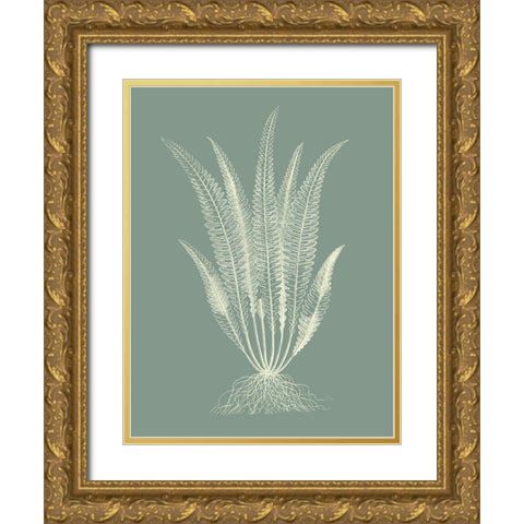 Ferns on Sage IV Gold Ornate Wood Framed Art Print with Double Matting by Vision Studio