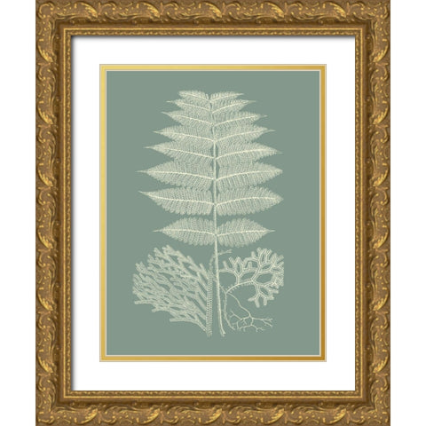 Ferns on Sage V Gold Ornate Wood Framed Art Print with Double Matting by Vision Studio