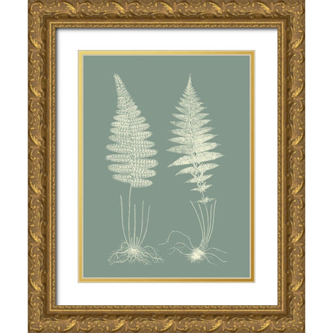 Ferns on Sage VI Gold Ornate Wood Framed Art Print with Double Matting by Vision Studio