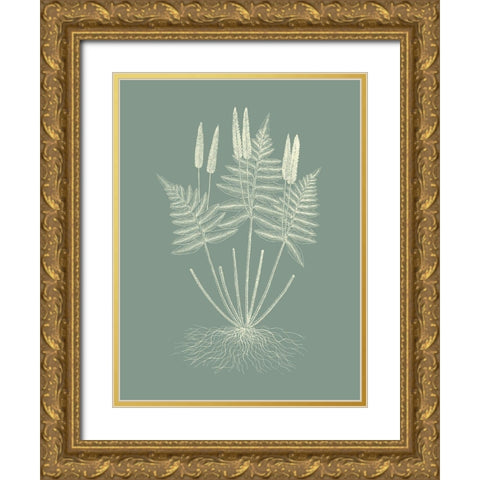 Ferns on Sage VII Gold Ornate Wood Framed Art Print with Double Matting by Vision Studio