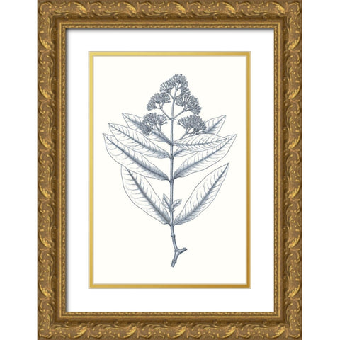 Indigo Botany Study I Gold Ornate Wood Framed Art Print with Double Matting by Vision Studio