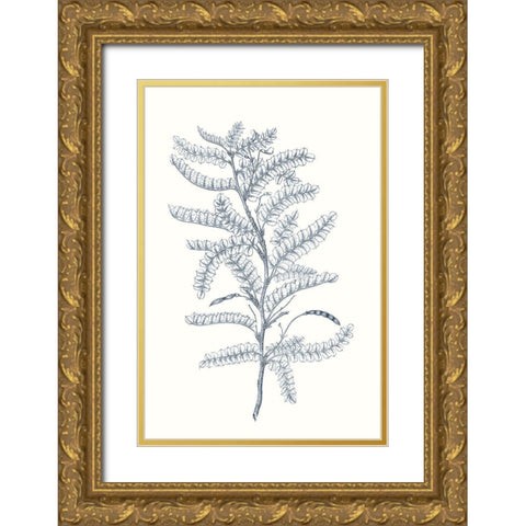 Indigo Botany Study II Gold Ornate Wood Framed Art Print with Double Matting by Vision Studio