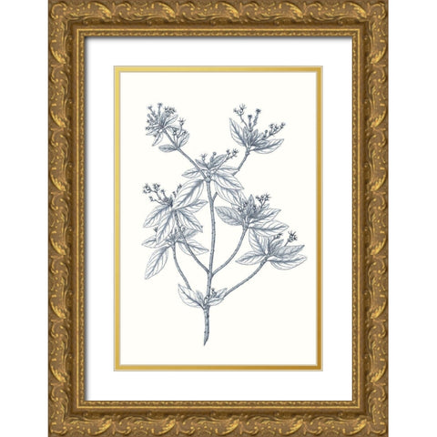 Indigo Botany Study III Gold Ornate Wood Framed Art Print with Double Matting by Vision Studio