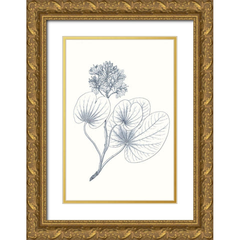 Indigo Botany Study IV Gold Ornate Wood Framed Art Print with Double Matting by Vision Studio