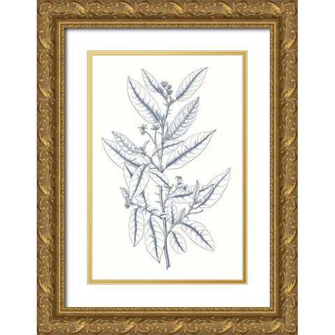 Indigo Botany Study V Gold Ornate Wood Framed Art Print with Double Matting by Vision Studio