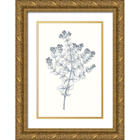 Indigo Botany Study VI Gold Ornate Wood Framed Art Print with Double Matting by Vision Studio