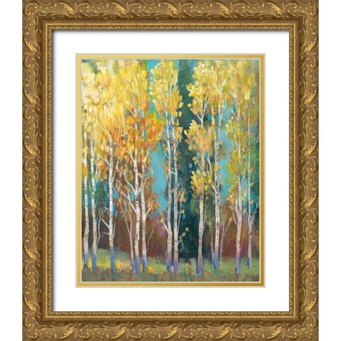 Aspen Grove I Gold Ornate Wood Framed Art Print with Double Matting by OToole, Tim