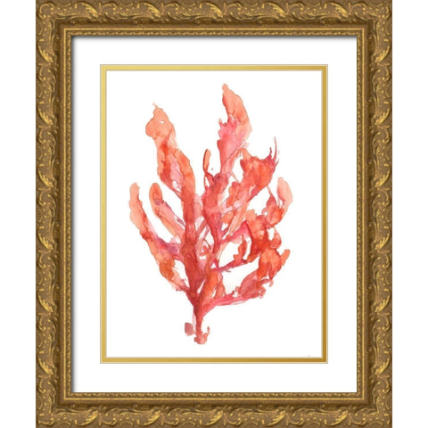 Coral Kelp I Gold Ornate Wood Framed Art Print with Double Matting by Goldberger, Jennifer