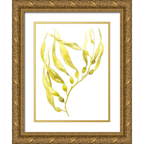 Olive Sea Kelp II Gold Ornate Wood Framed Art Print with Double Matting by Goldberger, Jennifer