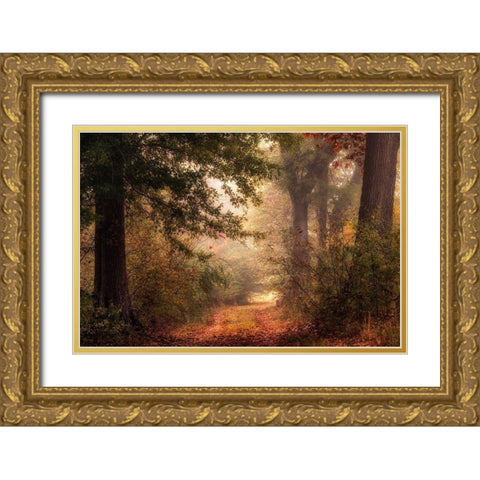 Autumns Walk II Gold Ornate Wood Framed Art Print with Double Matting by Head, Danny