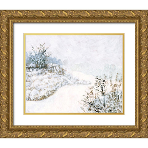 Frozen River Study II Gold Ornate Wood Framed Art Print with Double Matting by Borges, Victoria