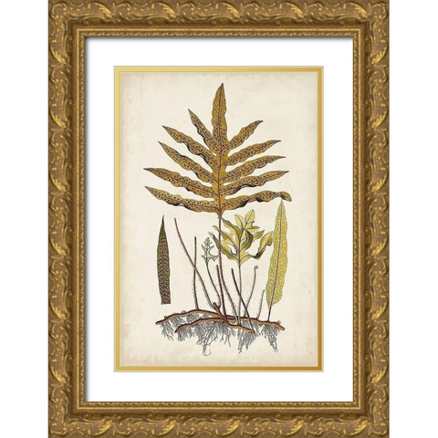 Fern Botanical I Gold Ornate Wood Framed Art Print with Double Matting by Vision Studio