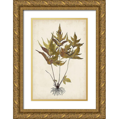 Fern Botanical II Gold Ornate Wood Framed Art Print with Double Matting by Vision Studio