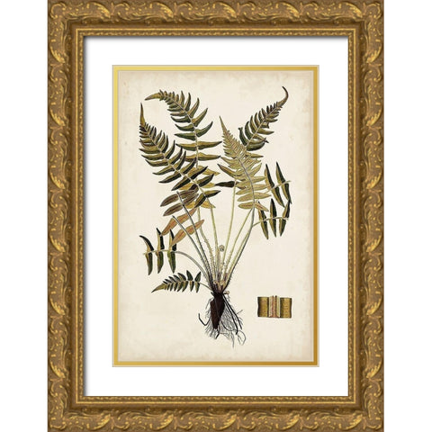 Fern Botanical IV Gold Ornate Wood Framed Art Print with Double Matting by Vision Studio