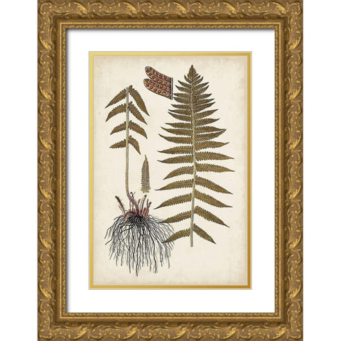 Fern Botanical V Gold Ornate Wood Framed Art Print with Double Matting by Vision Studio