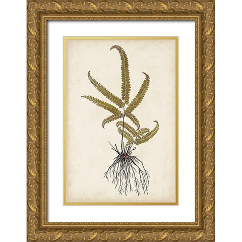 Fern Botanical VI Gold Ornate Wood Framed Art Print with Double Matting by Vision Studio