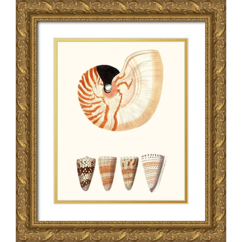 Shell Collection I Gold Ornate Wood Framed Art Print with Double Matting by Vision Studio