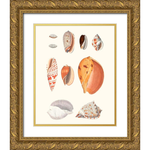 Shell Collection III Gold Ornate Wood Framed Art Print with Double Matting by Vision Studio