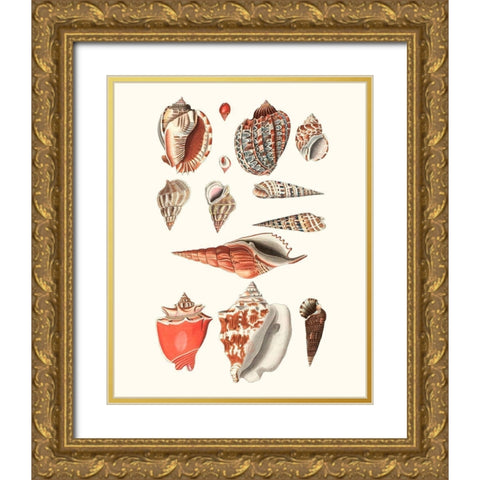 Shell Collection IV Gold Ornate Wood Framed Art Print with Double Matting by Vision Studio