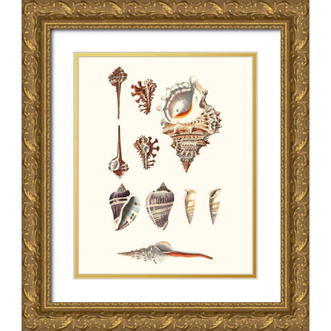 Shell Collection V Gold Ornate Wood Framed Art Print with Double Matting by Vision Studio