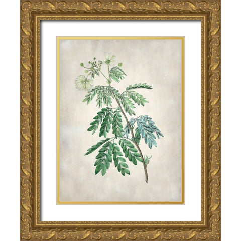 Acacia Tree II Gold Ornate Wood Framed Art Print with Double Matting by Vision Studio