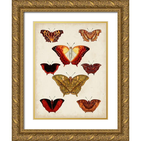 Butterflies Displayed I Gold Ornate Wood Framed Art Print with Double Matting by Vision Studio