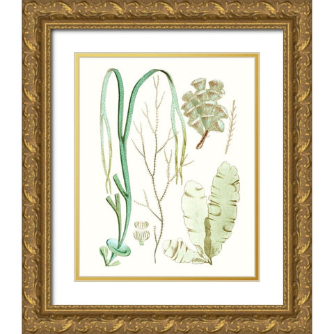 Antique Seaweed Composition IV Gold Ornate Wood Framed Art Print with Double Matting by Vision Studio