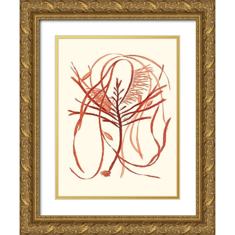 Coral Seaweed I Gold Ornate Wood Framed Art Print with Double Matting by Vision Studio