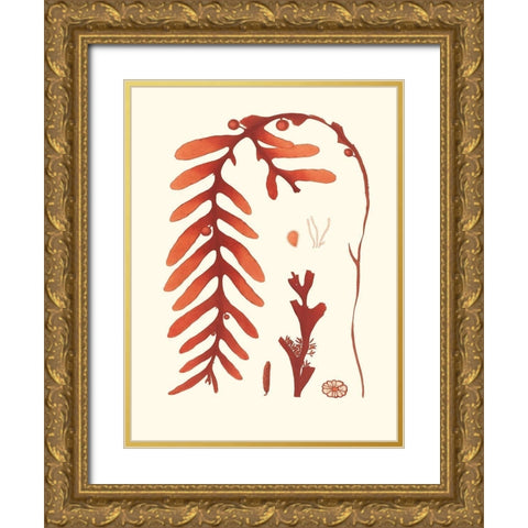Coral Seaweed II Gold Ornate Wood Framed Art Print with Double Matting by Vision Studio
